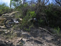 20060226-Mooney 099 